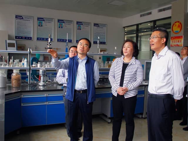 济宁市政协副主席倪丽君莅临ld官网登录机械调研指导工作