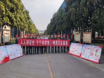 ld官网登录机械举行“安全生产月”启动仪式