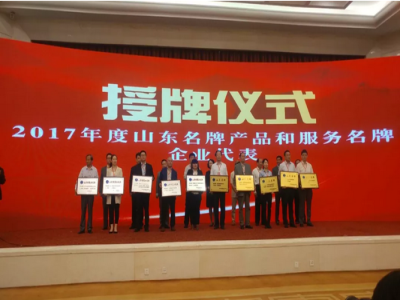 热烈祝贺ld官网登录荣获“山东名牌”荣誉称号
