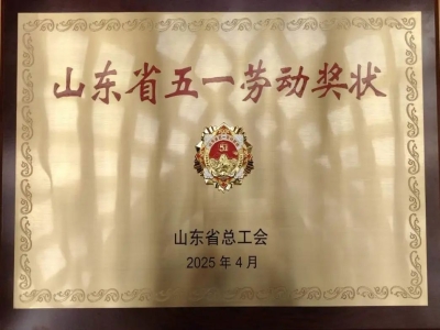 喜报丨热烈庆祝ld官网登录机械荣获“山东省五一劳动奖状”
