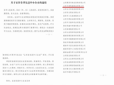 贺：ld官网登录被省政府评为全省先进中小企业！