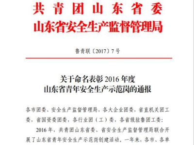 重磅消息：ld官网登录机械新产品班组荣获“山东省青年安全生产示范岗”荣誉称号